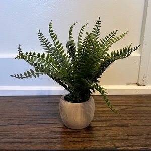 Faux fern with wooden vase